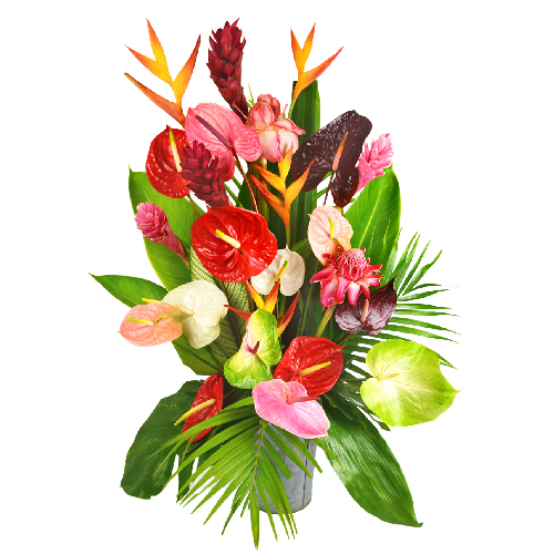 colis fleurs  salines 11 Monsieur eCommerce